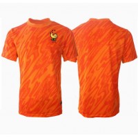 Camiseta Francia Portero Segunda Equipación Replica Eurocopa 2024 mangas cortas